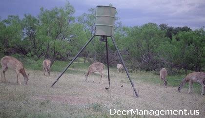 Doe Harvest, Deer Hunting and Whitetail Management | Deer Management