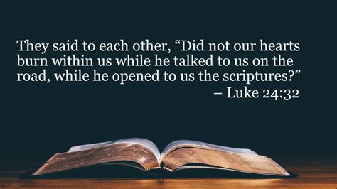 Your Daily Bible Verses Luke Integrated Catholic Life