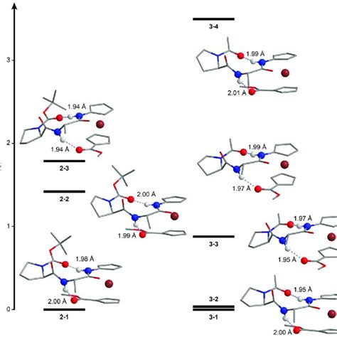 Dft Optimized Geometries Of The Most Stable Conformers Of Heterochiral