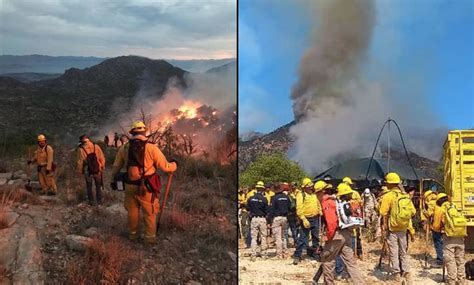 Incendios Devastan Miles De Hectáreas De Vegetación Y Especies