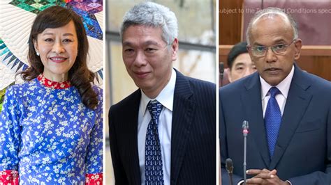 Shanmugam On Why Lee Hsien Yang Lee Suet Fern Were Identified As Under