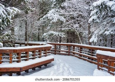 Covered Pedestrian Walkway People Over Royalty Free Licensable