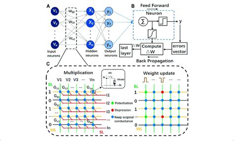 The Rram Based Neuromorphic Computing Circuit A The Two Layer Mlp