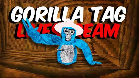 Gorilla Tag Live Minigames Codes Youtube