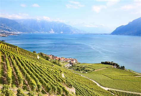 Top Wine Regions To Visit In Switzerland 2023