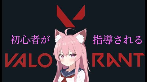 【valorant】初心者が教えられながらカスタムやるっ！！ Valorant動画まとめ