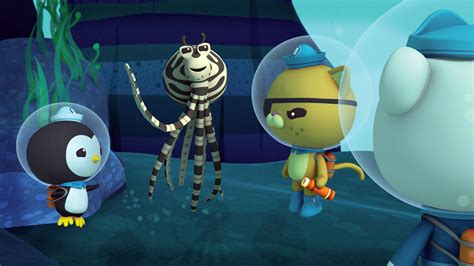 Bbc Iplayer Octonauts Series Mimic Octopus