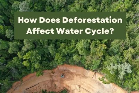 Deforestation Causes Effects And Preventive Measures