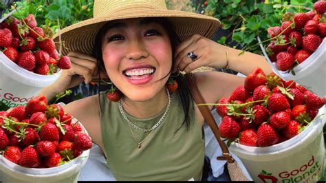 Naga Girl Strawberry 🍓 🍓 🍓 Picking At Good Planet Youtube