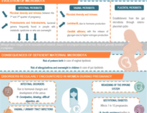 INFOGRAPHIC Vaginal Microbiota What Is Its Composition What