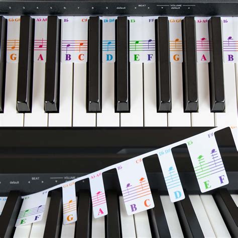 Snapklik.com : Colorful Piano Keyboard Notes For Beginner, Removable