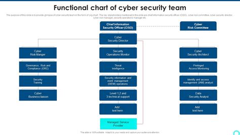 Functional Chart Of Cyber Security Team Diagrams Pdf Powerpoint Templates