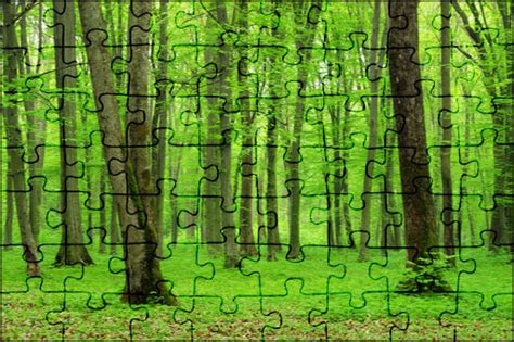 Amazing Nature Jigsaw Puzzles Online | JSPuzzles.com - Page 2543