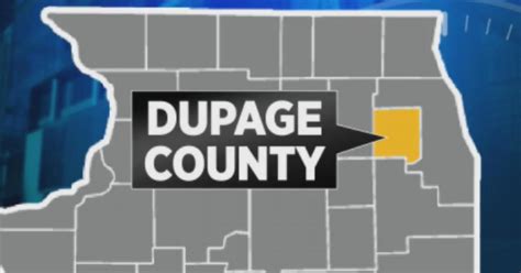 Dupage County Board Supports Sale Ban On Assault Weapons High Capacity Magazines Cbs Chicago