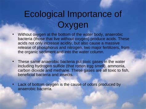 4 The Oxygen Cycle Ppt