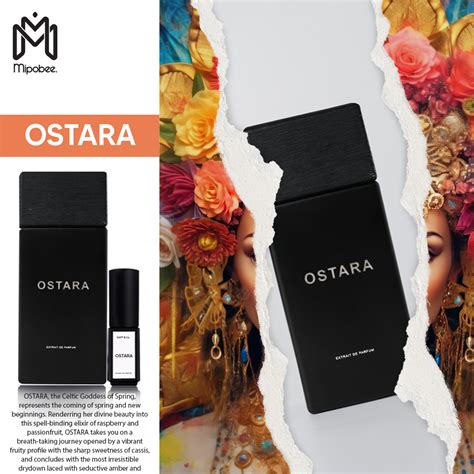 Jual SAFF Co Extrait De Parfum OSTARA Shopee Indonesia