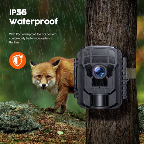 game trail camera  beginners