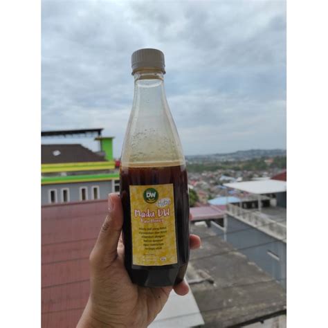 Jual MADU HUTAN SUMATERA Murni Raw Honey Shopee Indonesia