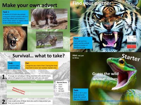 Survival / Animal Attack Lesson | Teaching Resources