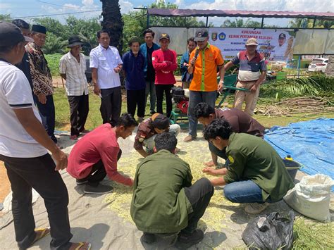 Mahasiswa KKN Unila Buat Pakan Ternak Dari Limbah Pertanian TEKNOKRA