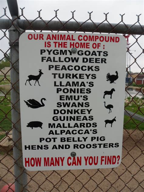 Strange Gratitude: Gas City Petting Zoo