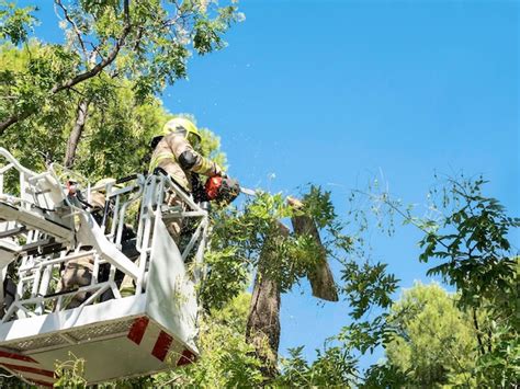 Premium Photo Firefighter In Basket Cuts Tree With Chainsaw