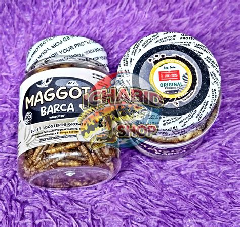 Maggot Barca Super Growth Maggot Bsf Gr Bunga Booster Pakan