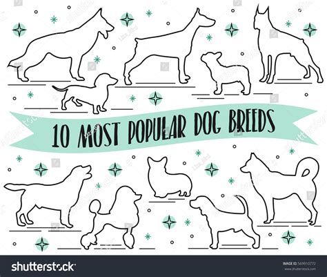 Dog Breeds Set Line Art Style Stock Vector (Royalty Free) 569910772 ...