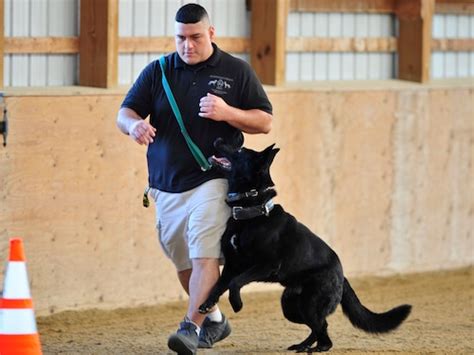 Allentown names 19-year veteran interim police chief - lehighvalleylive.com