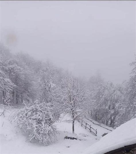 Maltempo Forti Piogge Al Nord Pi Colpita La Liguria Gi Mm A