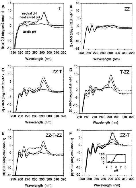 Near Uv Cd Spectra Of The Recombinant Proteins Subjected To A Cycle Of