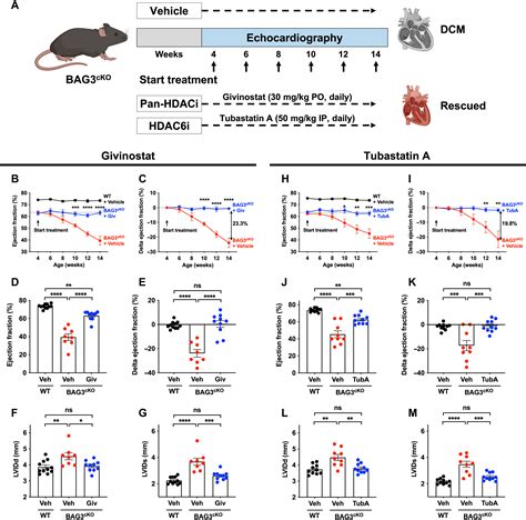 Phenotypic Screening With Deep Learning Identifies Hdac Inhibitors As