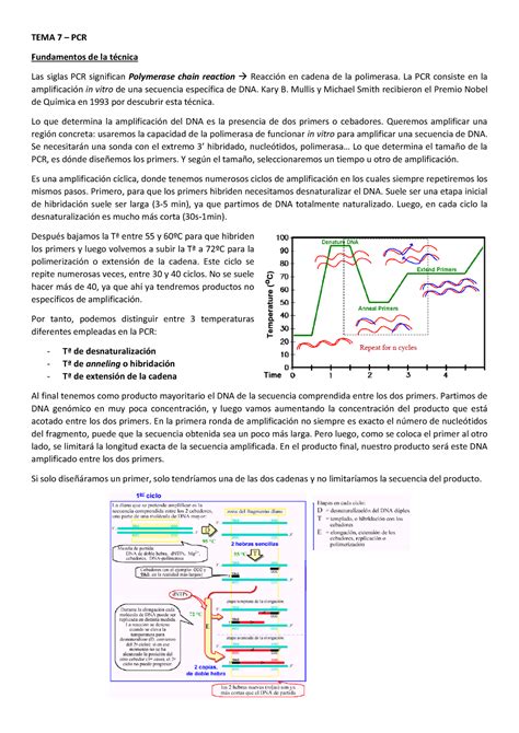 TEMA 7 PCR TEMA 7 PCR Fundamentos de la técnica Las siglas PCR