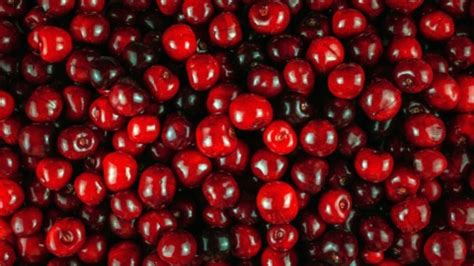 6 Health Benefits of Cherries & 3 Recipe Ideas - Domestic Fits