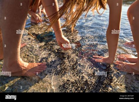 Vater Und Tochter Im Freien Fotos Und Bildmaterial In Hoher Auflösung Alamy