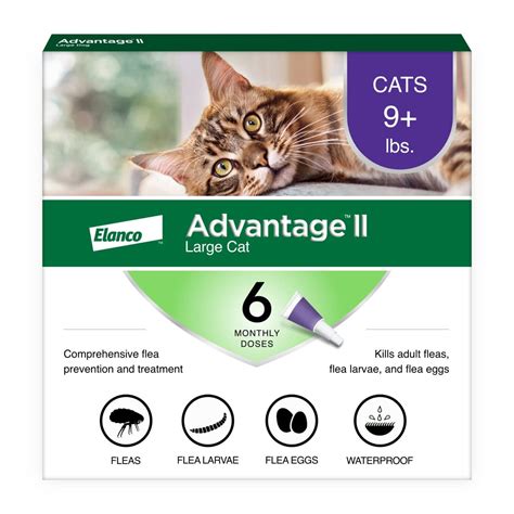 Cat Flea & Tick Treatments Medicine Best Price In Bangladesh
