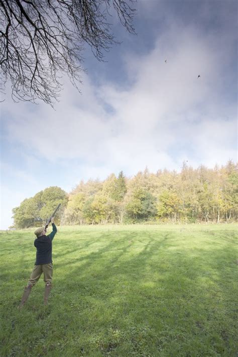 Pheasant Shooting At Withyslade Farm Wiltshire Shootinguk Shootinguk