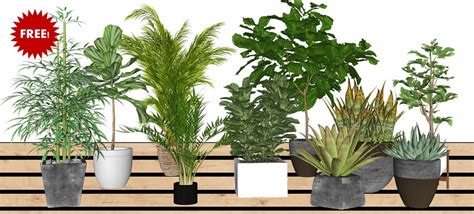 Plantas D Warehouse Edu Svet Gob Gt