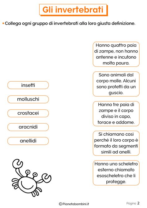 Gli Invertebrati Schede Didattiche Per La Scuola Primaria Scienza