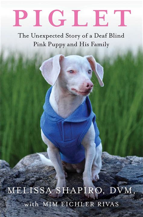 Do Deaf Puppies Cry