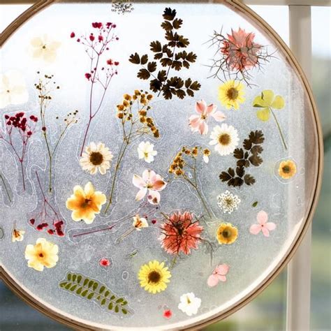 DIY Pressed Flower Suncatchers Pressed Flower Crafts Pressed