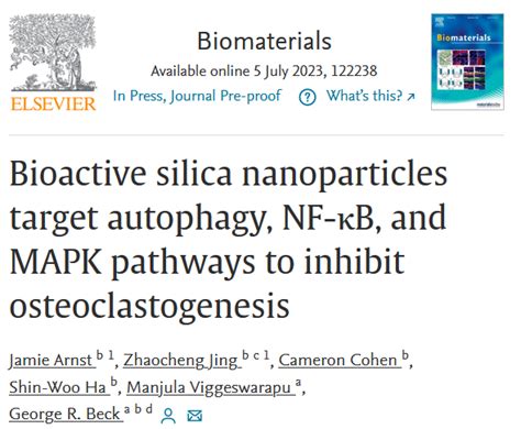 纳米人 Biomaterials：生物活性二氧化硅纳米颗粒可靶向自噬、nf κb和mapk通路以抑制破骨细胞生成