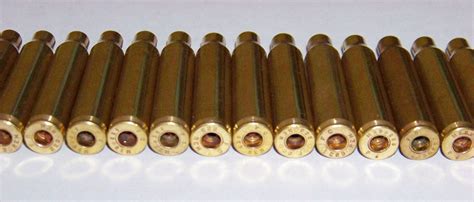 223 Caliber Brass Bullet Shell Casings 20 Pieces Inert Etsy