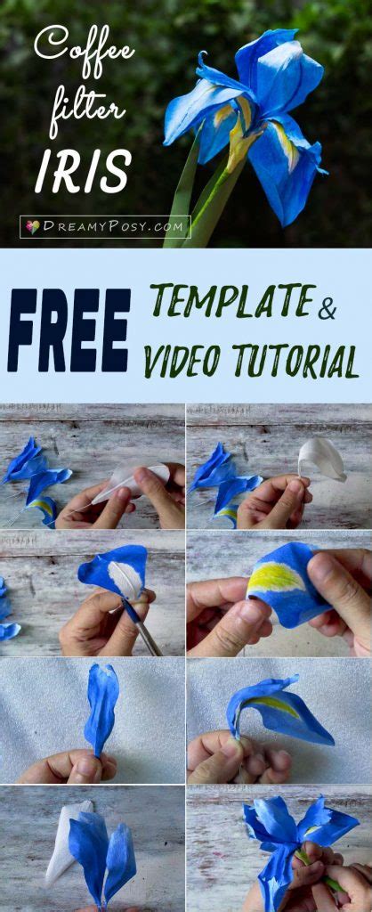 How To Make Paper Iris Flower Free Template And Full Video