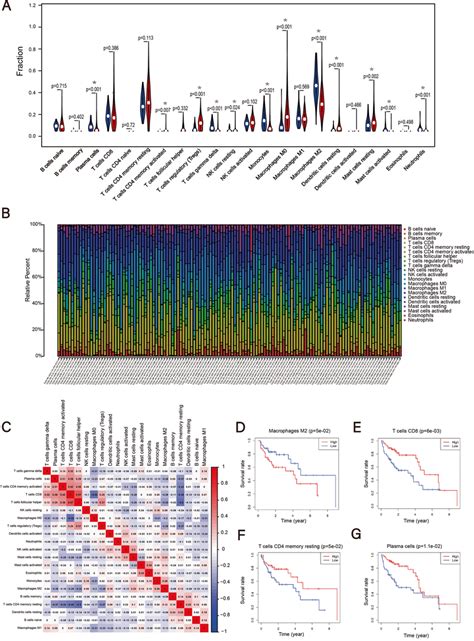 The Relationship Between The Abundance Ratios Of Immune Cells And Download Scientific Diagram