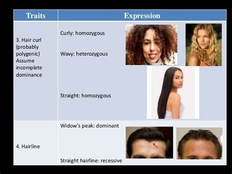 Heredity Inheritance And Variation