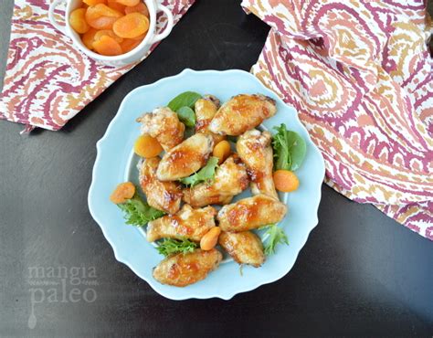 Apricot Glazed Chicken Wings – Mangia Paleo