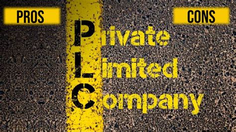 Private Limited Company Pros And Cons Blog Sonisvision