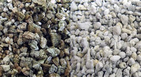 Perlite vs Vermiculite: What’s the Difference?