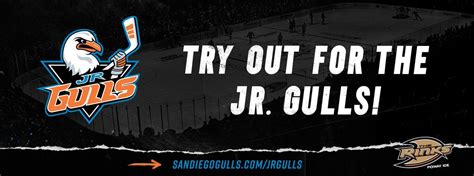 News | San Diego Gulls